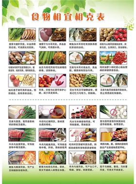 食物相宜相克搭配挂图 健康饮食家庭常识海报墙贴大挂图自粘贴图
