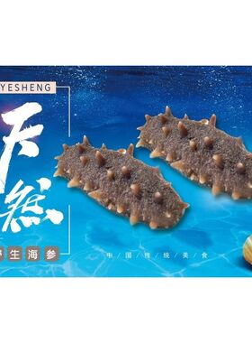 大连海参海报展板野生海参天然长岛淡干海参墙贴墙纸装饰画KT板大