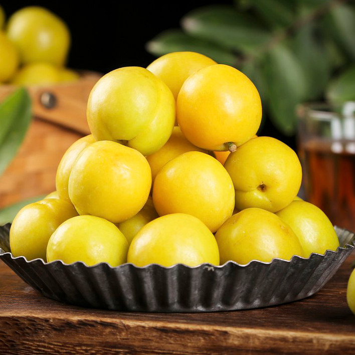 塞外羊肉哥新疆水果轮台新鲜水果小白杏子油杏一杏两吃鲜果孕妇果