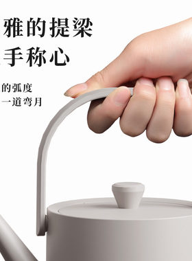 科瑞德长嘴提梁泡茶电热水壶
