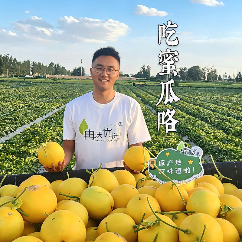 甘肃民勤蜜瓜沙漠黄河甜瓜哈密瓜新鲜水果当季整箱当季香金红宝
