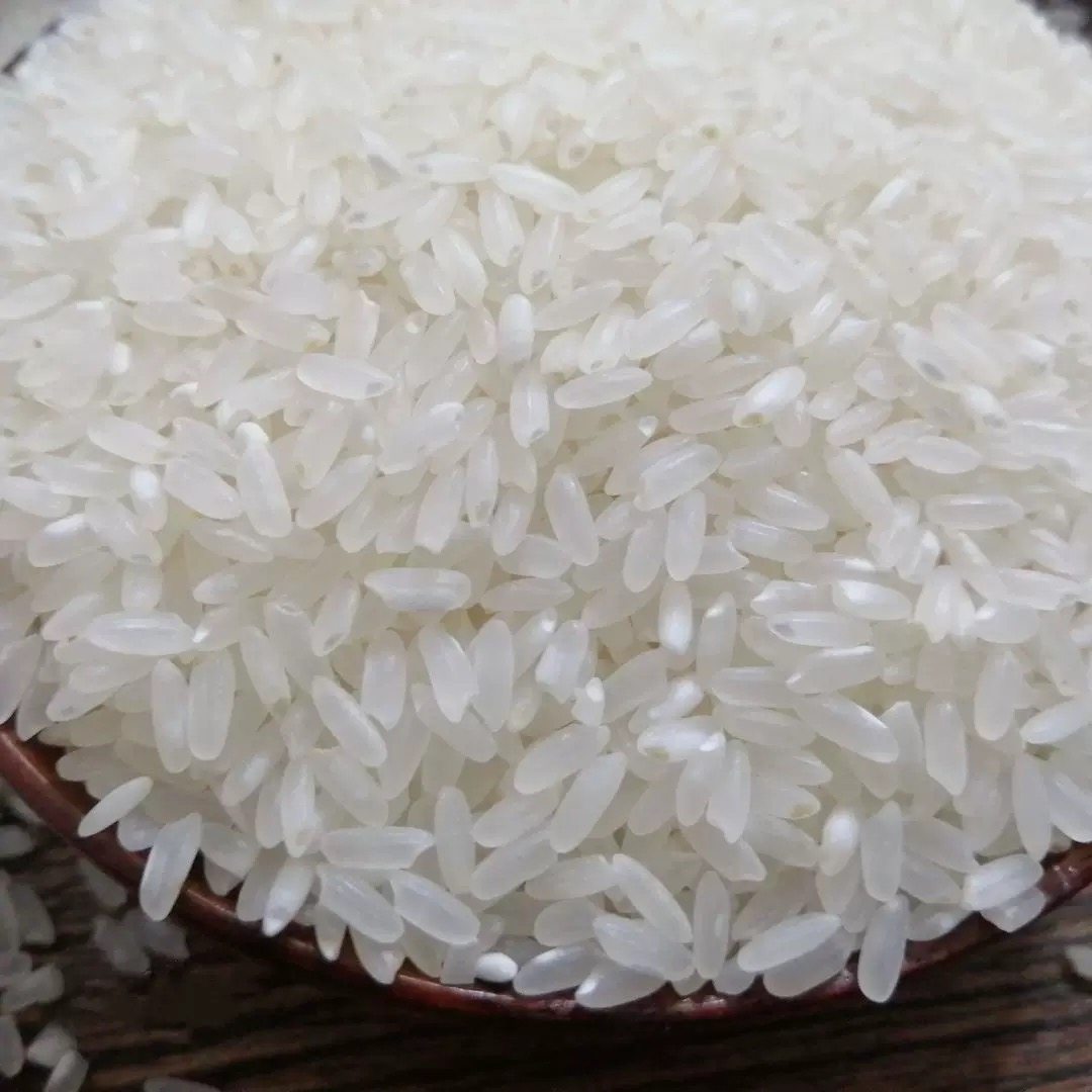 2025年新米东北吉林梅河稻花香2号过节送礼盒大米精装米伴手礼5kg,淘宝优惠券,粉丝福利购,淘宝优惠卷