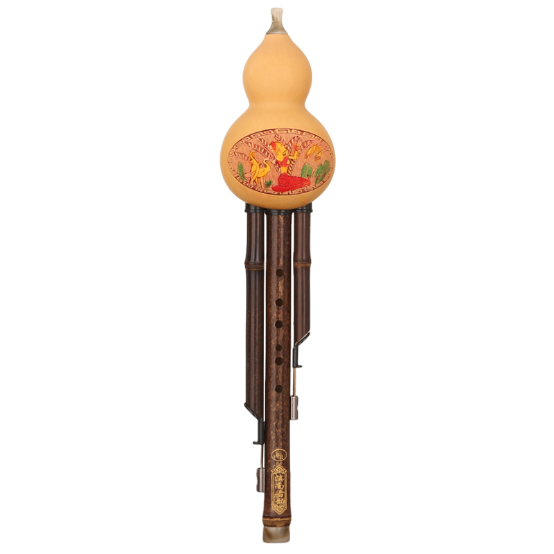 滇南古韵葫芦丝C调小学生专用降B调小DAGF成人儿童初学乐器旗舰店 - 图3
