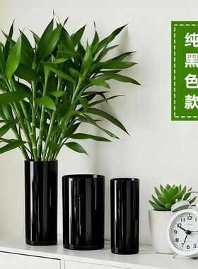 防摔大号龟背竹花瓶高款超高超大水培器皿落地特大号塑料仿玻璃
