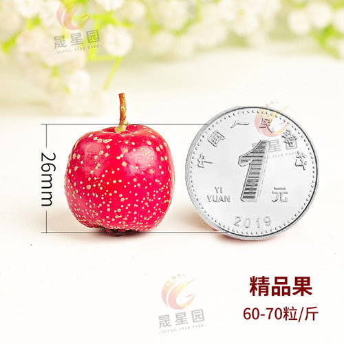 承德特产兴隆山楂秋金星小金星山里红新鲜甜山楂果 - 图3