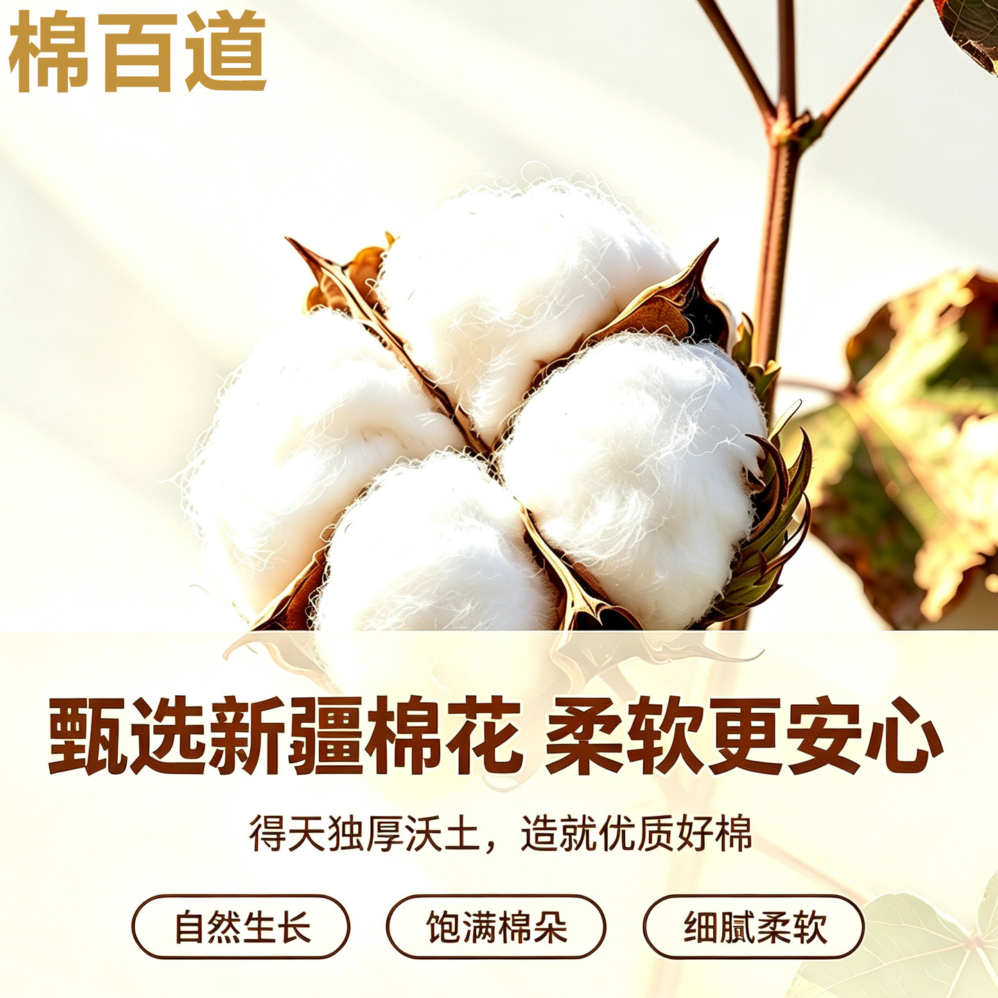 【新疆棉】棉百道加厚洗脸巾+送全棉浴巾
