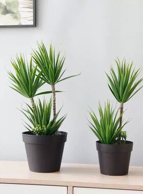 创意室内桌面假花仿真绿植装饰摆件家居茶几植物盆栽仙人掌盆景