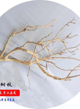 干树枝装饰婚庆树枯枝落地摆件树挂灯去皮树吊顶摆件造景装饰树杆