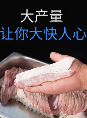大功率商用切肉机全自动多功能大型不锈钢切片切丝机双皮带大料口