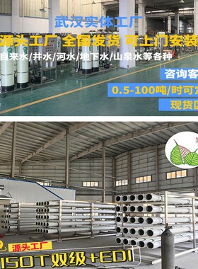 10吨单双级RO反渗透水处理设备大型工业纯净水设备去离子水净水器
