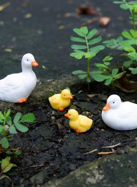 白鸭树脂小饰品小鸭子工艺品盆景园艺装饰流水饰品珠宝微景观造景