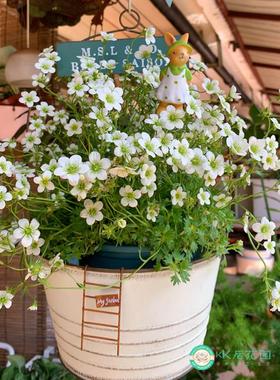 锈色做旧铁艺装饰花盆挂件楼梯造型可写字花插摆件创意独家