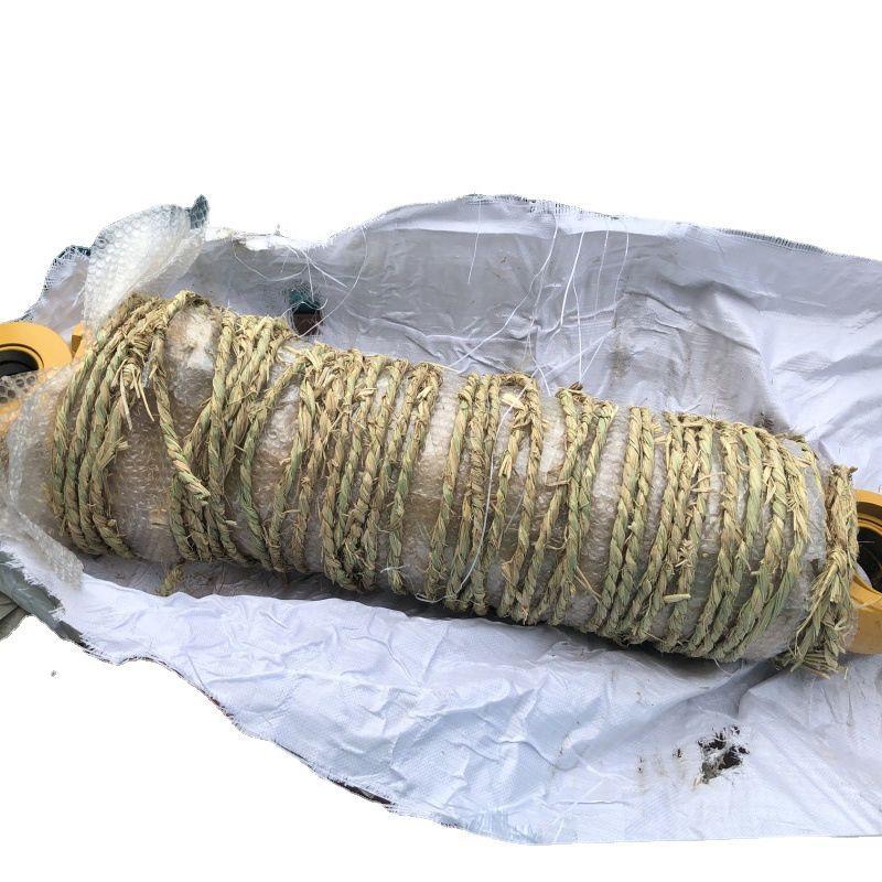 现货工新龙8C5N/ZL50轮式50装载机5铲车专用翻斗油缸件配套配件 - 图3