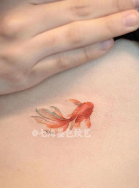 可爱招财小胖金鱼彩色纹身贴持久