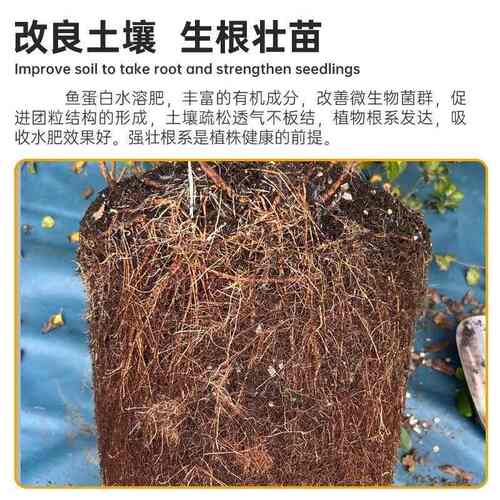 鱼蛋白水溶肥氨基酸瓜果蔬菜花卉通用叶面农用营养液生根剂鱼肠肥 - 图0