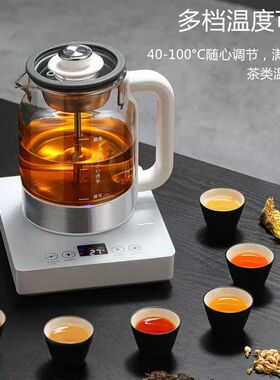 煮茶器全自动上水蒸煮一体家用电热茶炉喷淋式玻璃烧水保温泡茶壶