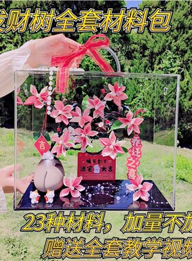 发财树有钱花七夕diy材料包手提透明亚克力礼盒白色花瓶新年礼物