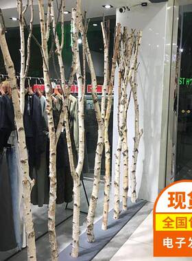 白桦树枝装饰摆件背景墙干枝禅意假树枝干枯树枝干花树杈隔断创意