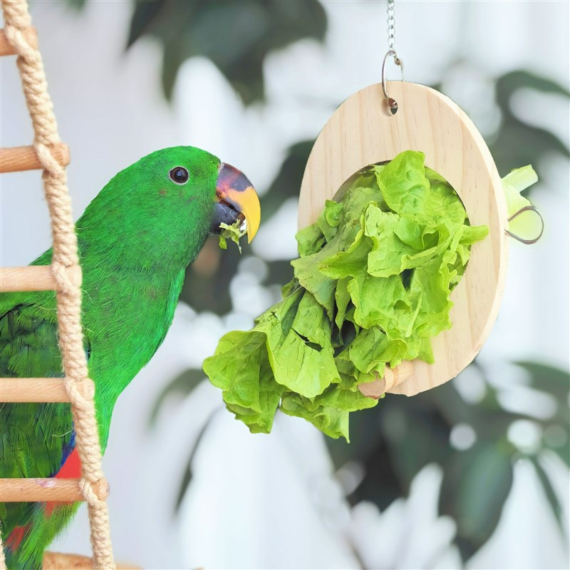 鹦鹉水果叉鸟用不锈钢蔬菜玉米挂钩喂食器玩具鸟笼配件用品 - 图0