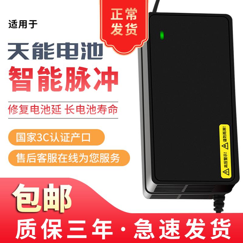 适用原装正品天能电池电动车充电器48V60V72V12A20AH天能电瓶通用 - 图3