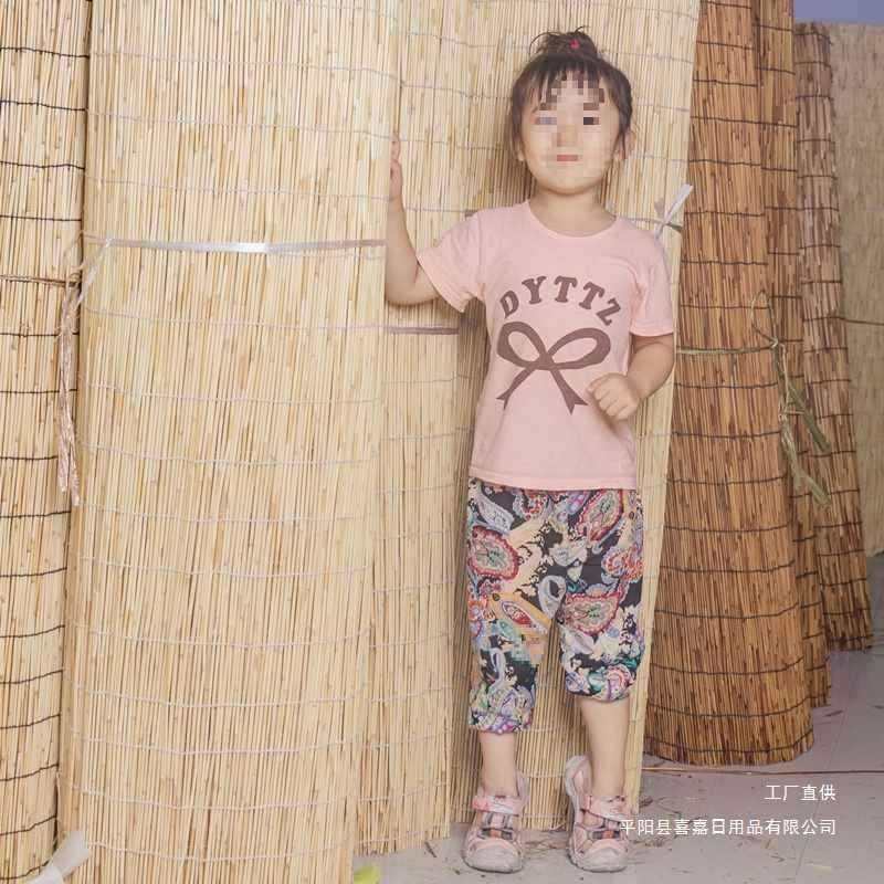 大卷芦苇帘子墙面装饰遮阳遮光竹帘门帘草帘子复古窗帘卷帘吊顶帘,淘宝优惠券,粉丝福利购,淘宝优惠卷