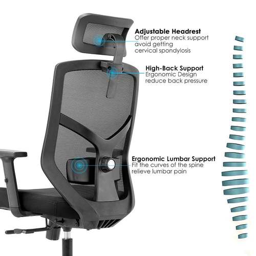 NOEL人体工学椅久坐电脑椅学习家用办公椅子护腰旋转升降椅电竞椅 - 图0