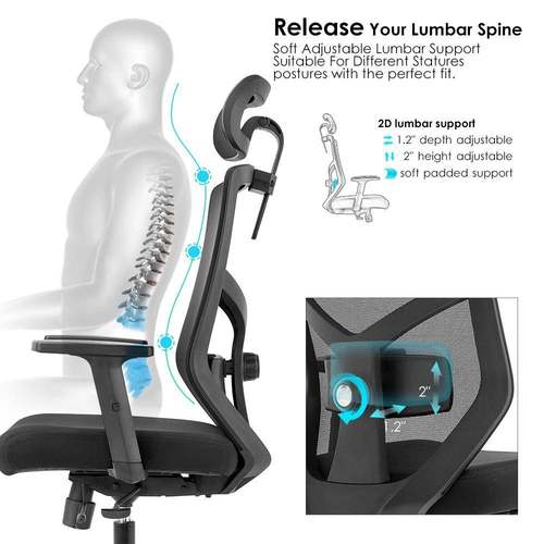 NOEL人体工学椅久坐电脑椅学习家用办公椅子护腰旋转升降椅电竞椅 - 图1