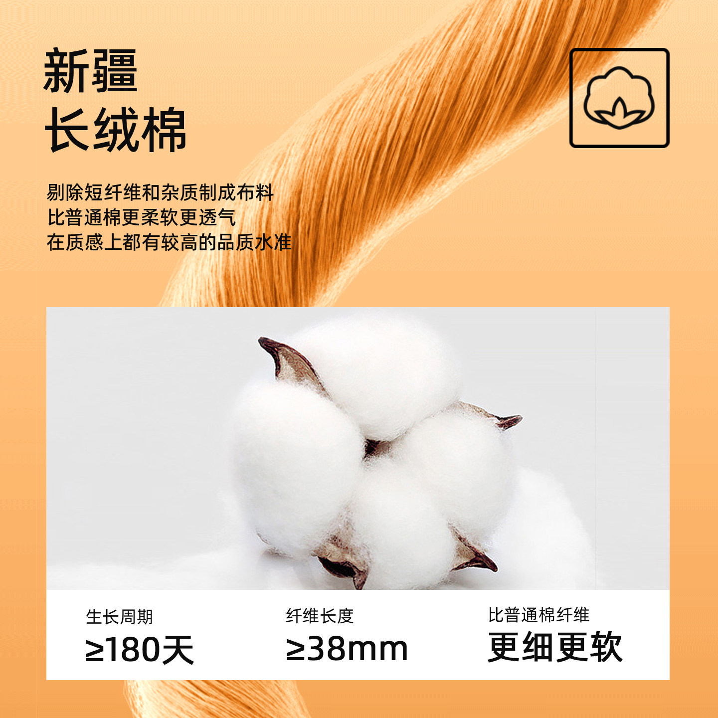 10A抗菌消臭|喜可男女款本命年红袜子新年中筒棉袜礼盒马年礼物冬,淘宝优惠券,粉丝福利购,淘宝优惠卷