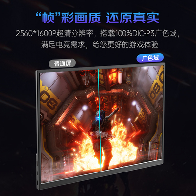 爱国者17.3英寸便携笔记本扩展屏