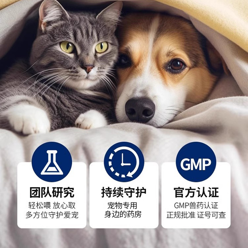 恩诺沙星注射兽用宠物专用恩诺沙星猫用狗用翻肠鹦鹉白痢仓鼠湿尾 - 图0