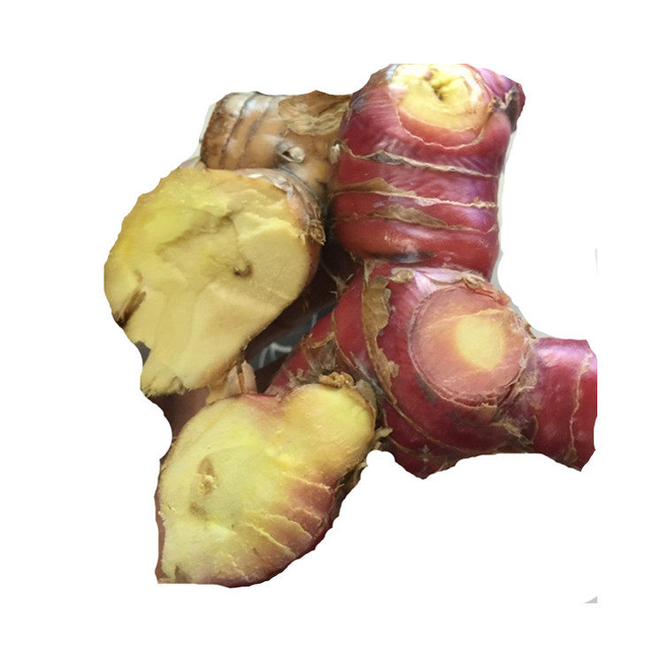 南姜新鲜 潮汕南姜块芦苇姜山姜头羊肉牛肉卤味冬荫功汤包邮生姜,淘宝优惠券,粉丝福利购,淘宝优惠卷