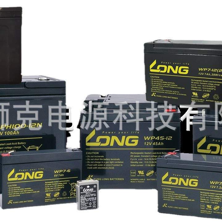广隆蓄电池WP24-12ANE 12V24AH UPS/EPS 数据中心备用电源AGM电池 - 图3
