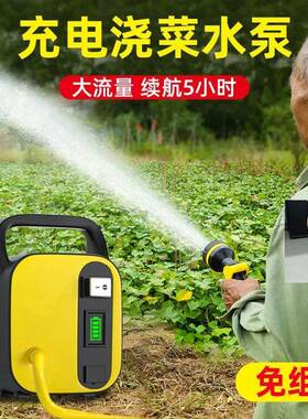 充电式浇菜水泵抽水神器农用菜地浇地灌溉电动小型自吸泵浇水户外