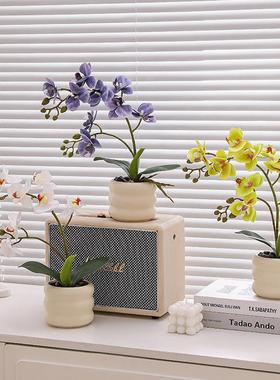 彷真花假花蝴蝶兰小型盆栽摆件客厅餐桌电视柜茶几玄关装饰品花艺