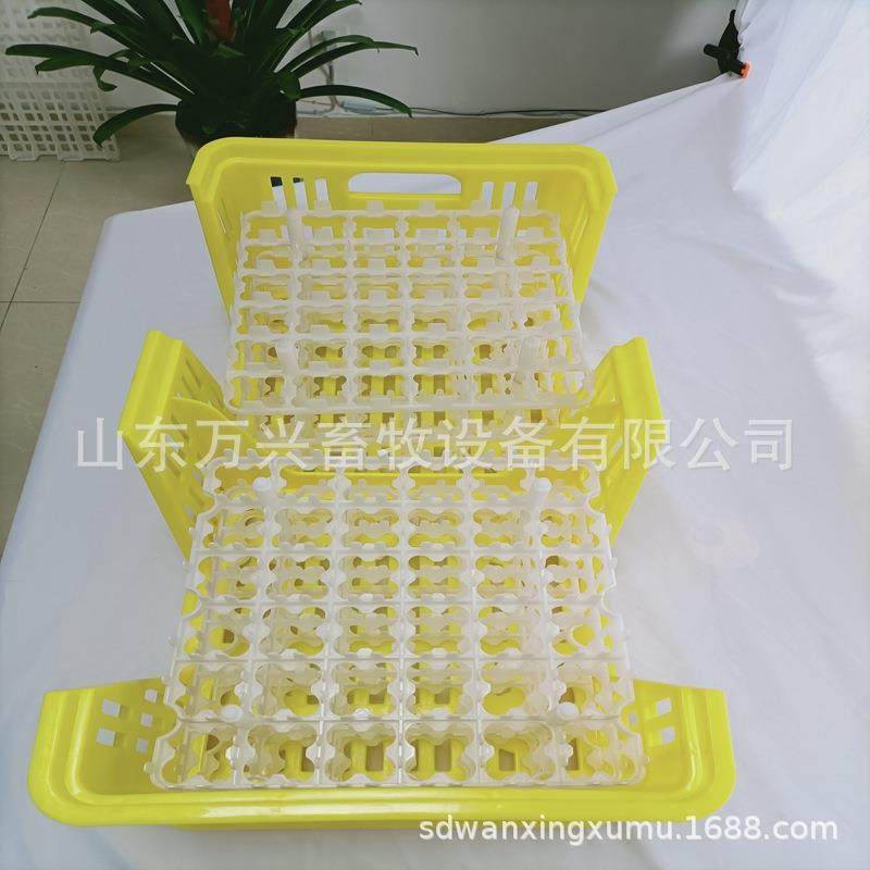 种鸭用蛋筐 出口品质新式蛋筐 多功能塑料筐 厂家供应,淘宝优惠券,粉丝福利购,淘宝优惠卷
