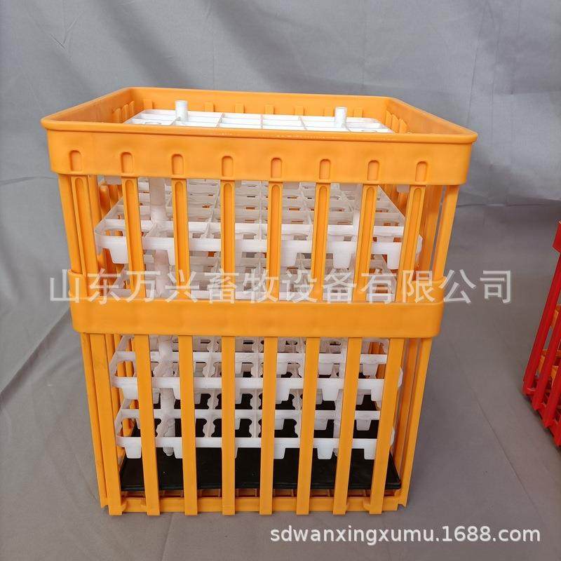 种鸭用蛋筐 出口品质新式蛋筐 多功能塑料筐 厂家供应,淘宝优惠券,粉丝福利购,淘宝优惠卷
