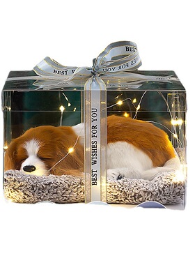 2025创意活性炭萌宠礼品卧室新潮吸味装饰女友闺蜜生日惊喜款