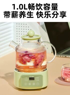 小南瓜全玻璃养生壶小型多功能恒温花茶壶办公室煮茶器电炖烧水壶