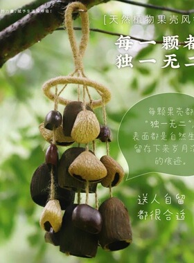 新款风絮果壳手摇铃手作种子果实溪水音疗解压自制风铃礼物悬挂