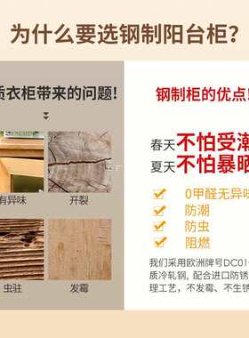 现代家用储物柜收纳铁艺柜大容量阳台钢制两门衣柜非实木