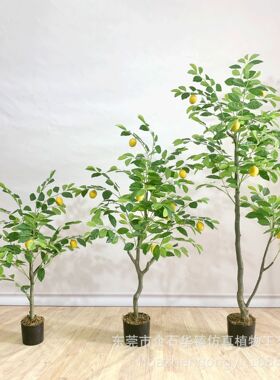 仿真柠檬树橘子树带果子盆栽餐饮店橱窗美陈装饰摆件绿植1件代发