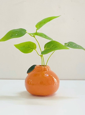 陶瓷小花瓶摆件客厅插花水培植物