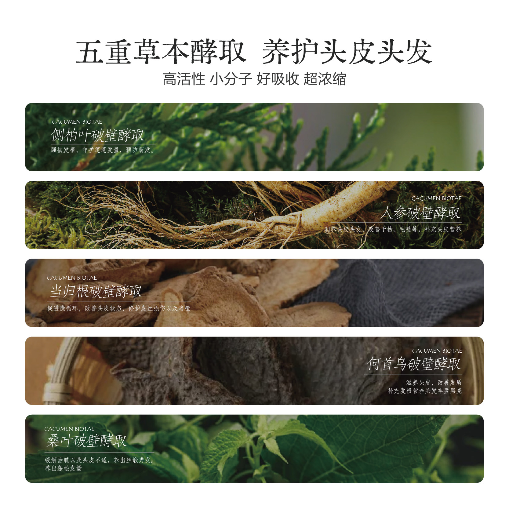 春添洗发水沐浴露2件套控油蓬松强韧去屑止痒 净肤嫩白去鸡皮除螨,淘宝优惠券,粉丝福利购,淘宝优惠卷