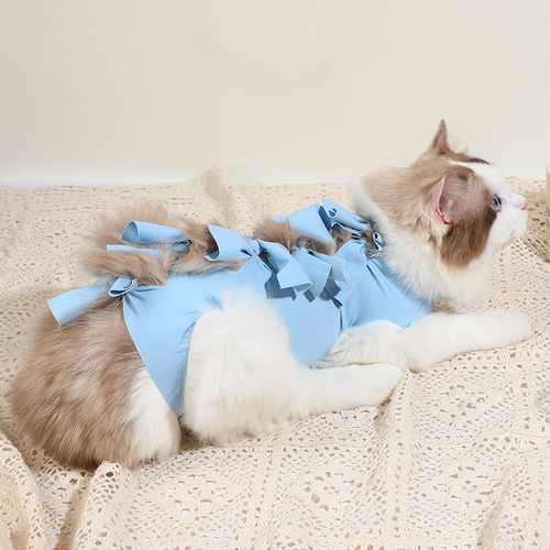 猫咪绝育服猫咪产后衣服公猫手术服猫咪生理裤术后防舔宠物绝育服 - 图0