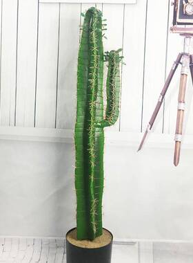 新款绿植大盆景装饰仿真仙人掌盆栽 家居客厅办公室落地大摆件