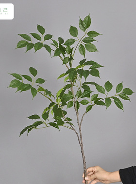 2025新款仿真绿植幸福榕叶装饰客厅摆件发财树枝酒店婚庆插花