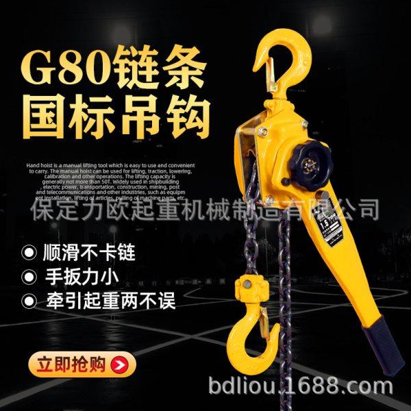 手扳葫芦1吨3米手摇葫芦3吨6吨紧线器拉紧器手动起重链条手动葫芦,淘宝优惠券,粉丝福利购,淘宝优惠卷