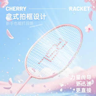 亚狮龙樱花之刃超轻碳素羽毛球拍