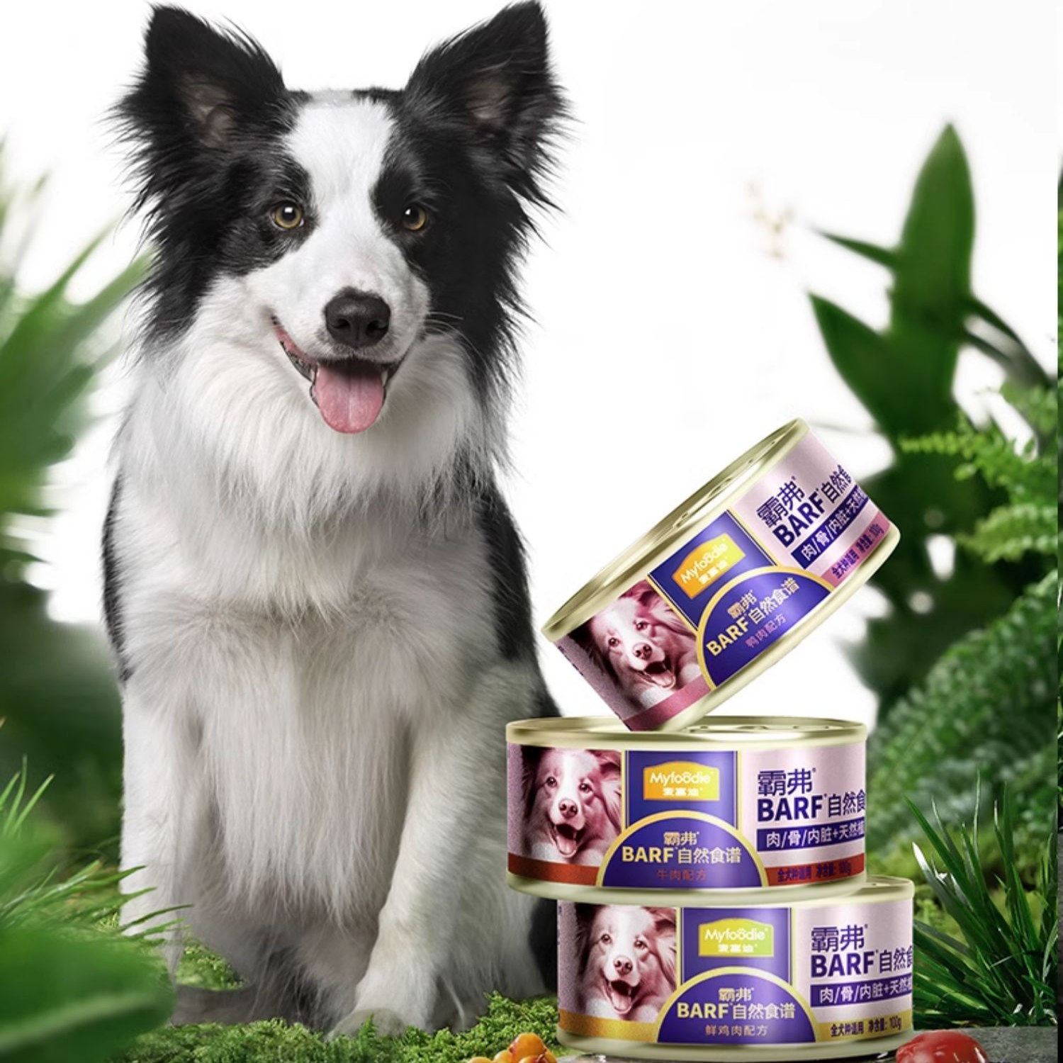 麦富迪狗零食狗罐头主食罐犬湿粮成幼犬barf霸弗全价营养训犬补水,淘宝优惠券,粉丝福利购,淘宝优惠卷