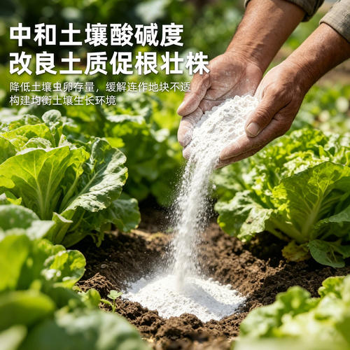 生石灰粉杀虫种菜消毒专用高纯度防霉防潮农业改良蔬菜土壤干燥剂 - 图2